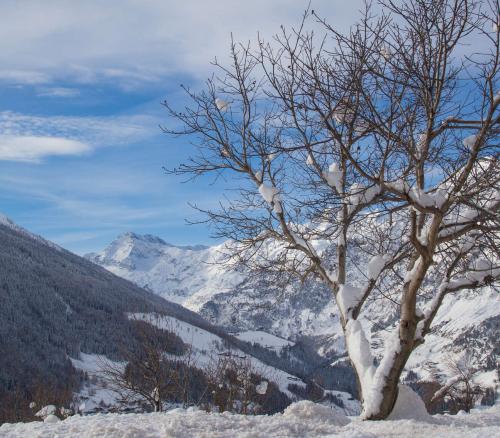 Winter in the mountain