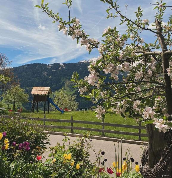 Hotel Alpenland*** - bei Meran in Südtirol - un paradiso per bambini